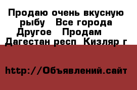 Продаю очень вкусную рыбу - Все города Другое » Продам   . Дагестан респ.,Кизляр г.